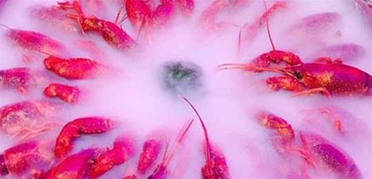 如何選擇山西高純氣體管道配管及附件材料？